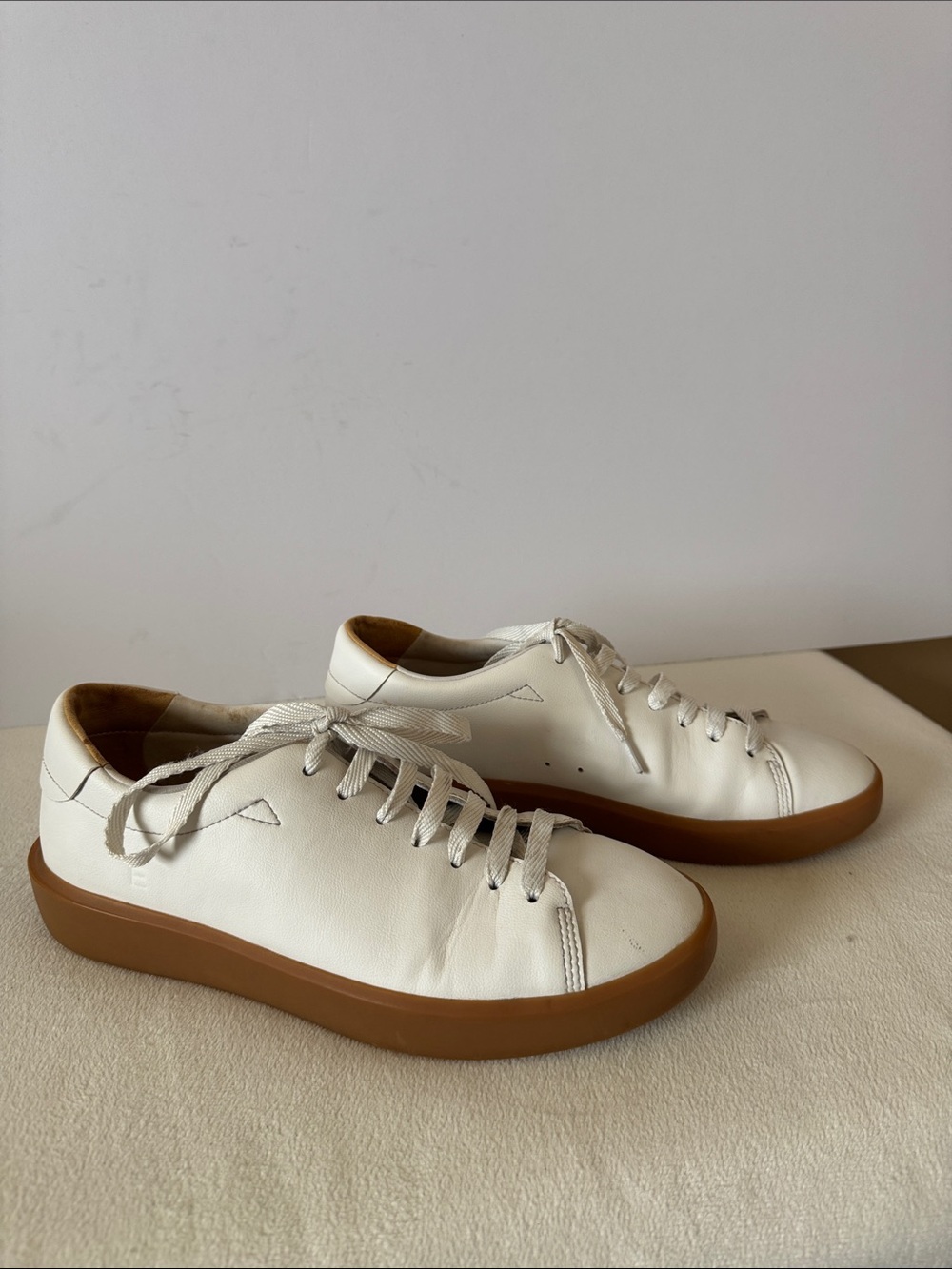 Everlane sneakers